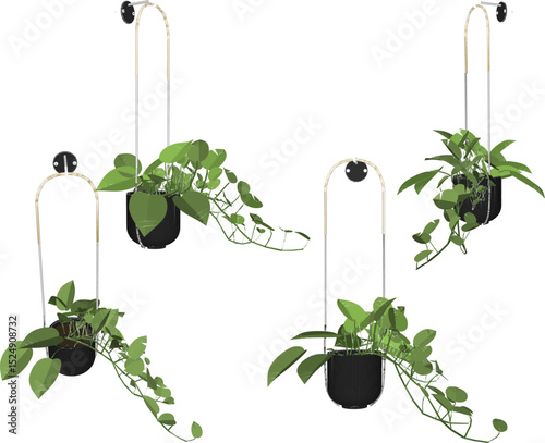 Vector illustration of hanging plant design for home terrace interior decoration with creeping leaves