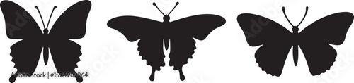 butterfly illustration, insect silhouette, flying butterfly vector, delicate wings art, nature butterfly shape, elegant insect vector, fluttering butterfly, butterfly wings graphic, garden insect silh