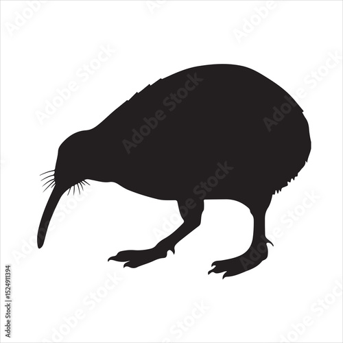 Silhouette of a bird on white background 