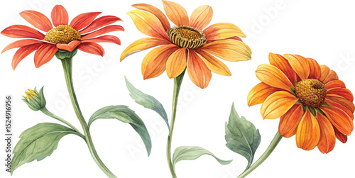 Orange and Yellow Watercolor Flowers