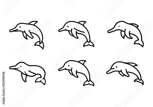 Amazon river dolphin freshwater dolphin