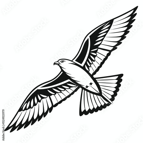 Majestic hawk soaring in flight black and white