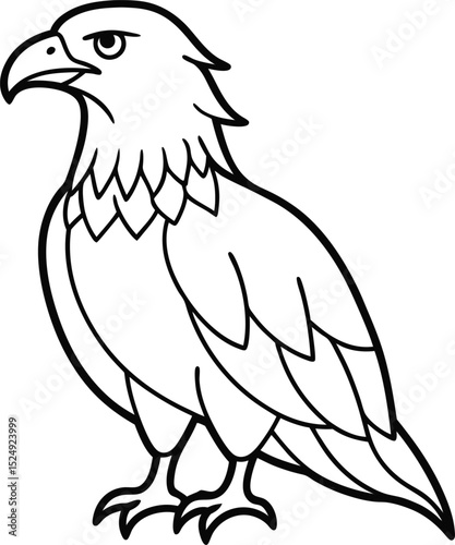 Vector illustration of a majestic eagle with outstretched wings, isolated on a white background, perfect for designs featuring wild birds and freedom
