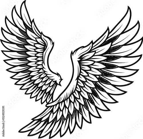 Elegant Symmetrical Angel Wings in Black and White  Intricate Feather Illustration for Tattoo or Decorative Design