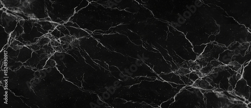 Black marble texture with white veining