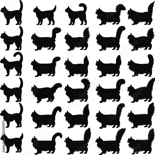 Collection of black cat silhouettes in various poses isolated on a white background perfect for design and decorative use