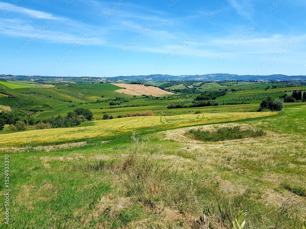 Fototapeta premium Rural landscape at summertime in Tuscany, Italy.