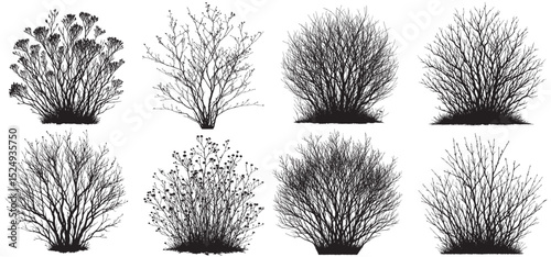 silhouette bare bushes set on a white background  vector. Architectural Drawings, Minimal style cad bush drawing, Side view, set of graphics bushes elements outline symbol for landscape
