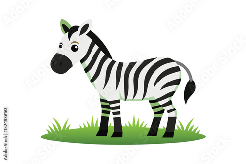 zebra vector illustration