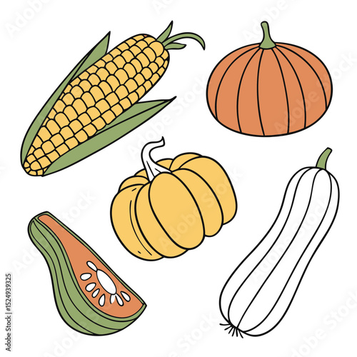 Autumn harvest vegetables corn pumpkins squash