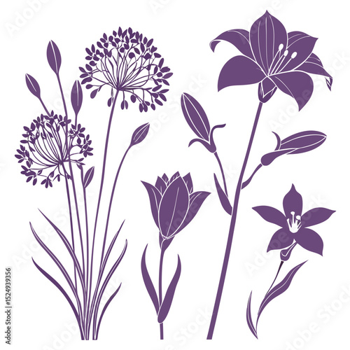 Purple floral silhouettes botanical illustration