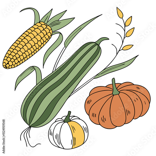 Autumn harvest vegetables corn zucchini pumpkins