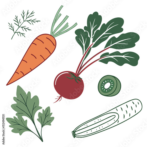 Fresh vegetables and herbs illustration