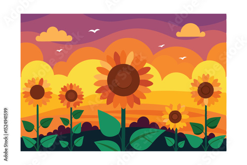 sunflower field with sunflowers