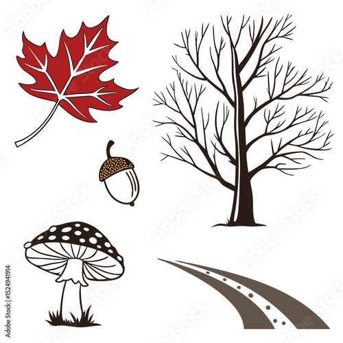 Autumn nature elements leaf tree acorn mushroom road