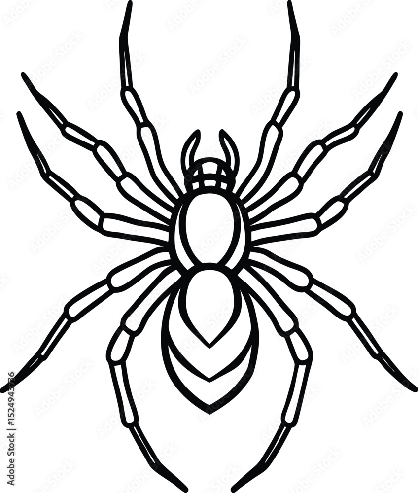 Obraz premium Vector Spider Icons – Thin Line Style for Halloween and Nature