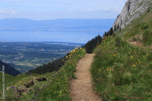 paysage alpestre avec sentier de randonnée avec fleurs de montagne au printemps,  dans le Chablais, Haute Savoie , avec vue sur le lac Léman