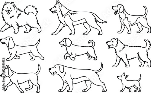 Various dog breeds outline illustration different sizes and poses graphic