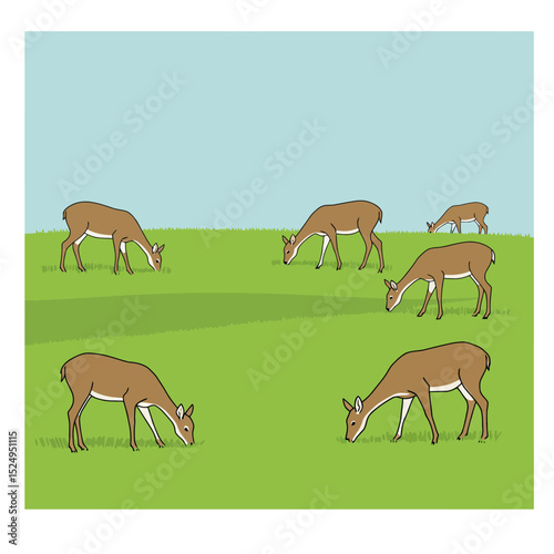 Vector woodland animal deer illustration on white