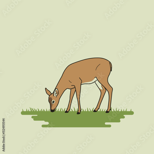 Vector woodland animal deer illustration on white