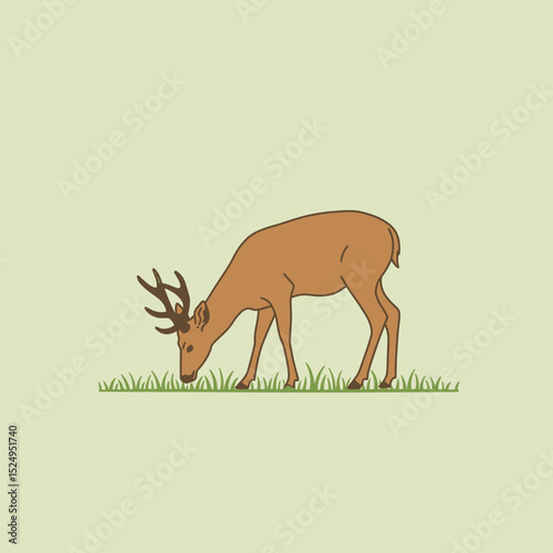 Vector woodland animal deer illustration on white