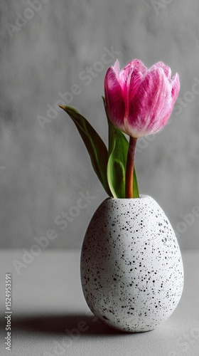 Elegant Pink Tulip in a Speckled Vase on a Simple Gray Background During Dayl...