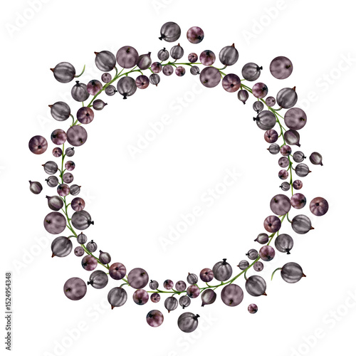 Currant gooseberry cluster bunch on stems, ripe garden berry casseille juneberry jostaberry, watercolor hand drawn. Isolated wreath frame. Home preserves, cookbook, grocery store, farmers market cards