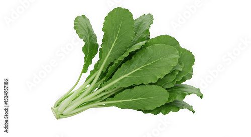Chinese Mustard Greens:  Vibrant Green Vegetable, Fresh Produce, Healthy Eating