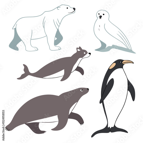 Arctic animals illustration set polar bear seal penguin and more