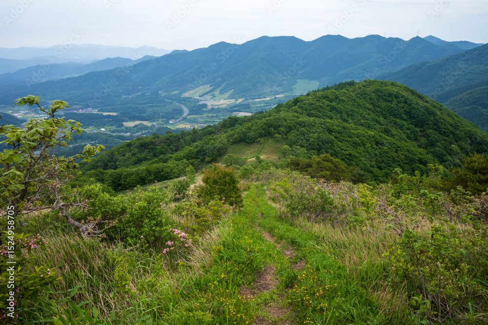 Obraz premium 日本の岡山県と鳥取県にまたがる三平山の美しい初夏の風景