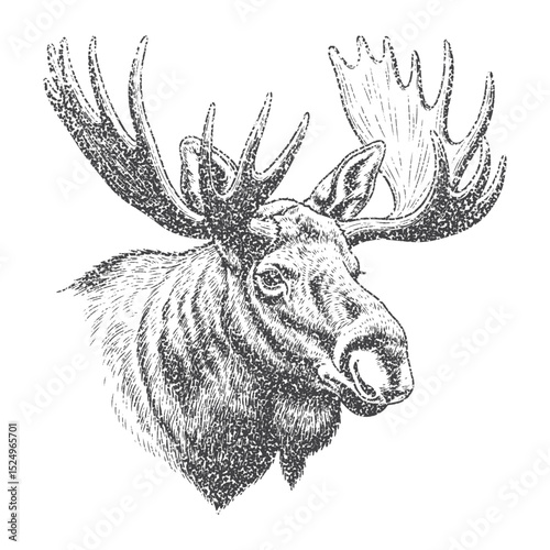 Moose Head  with retro photocopy stipple effect, for grunge design. Vector illustration in vintage halftone brutalist design for banner or poster
