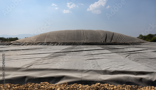 Canvas Print HDPE Geo Membrane Anaerobic Lagoon Biogas Plant for Animal Waste.