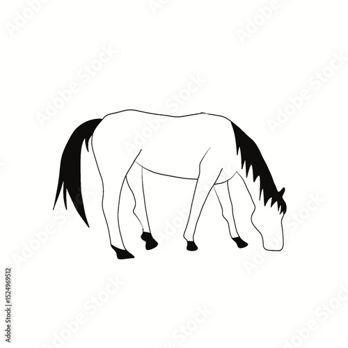 vector illustration of a horse