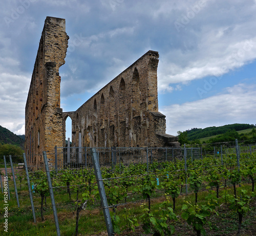 Klosterruine Stuben bei Neef an der Moselschleife bei Bremm und Eidiger-Eller in Rheinland-Pfalz