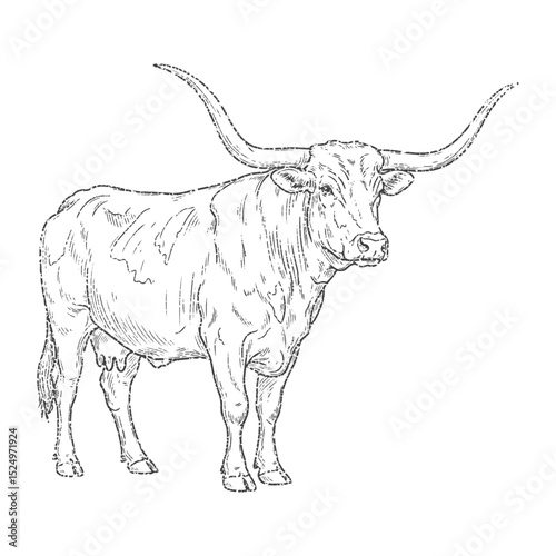 Texas Longhorn Cow  with retro photocopy stipple effect, for grunge design. Vector illustration in vintage halftone brutalist design for banner or poster