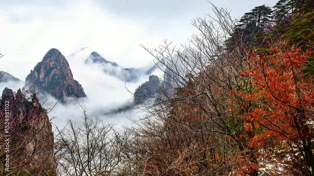 Misty mountain landscape with rocky peaks shrouded in fog, and trees in the foreground showing autumn colors.