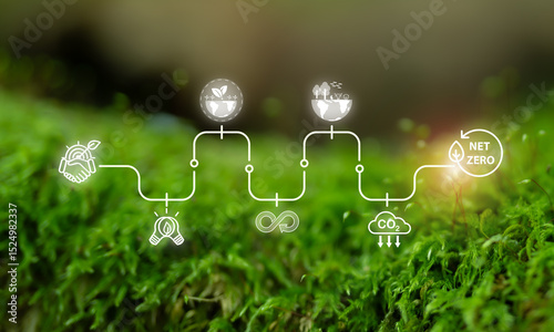  Journey to Net Zero,  Sustainability concept. The stages of achieving net zero emissions, featuring icons representing sustainability, renewable energy, circular economy and carbon reduction.