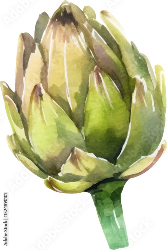 Watercolor painted artichoke. Hand drawn fresh food design element isolated on white background.