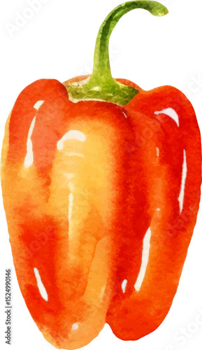 Watercolor painted pepper. Hand drawn fresh food design element isolated on white background.