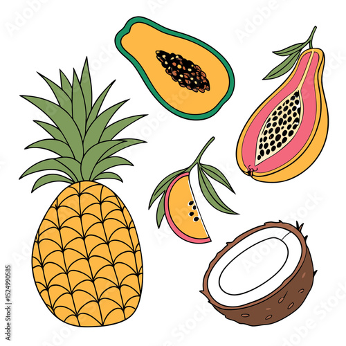 Tropical fruits illustration pineapple papaya coconut