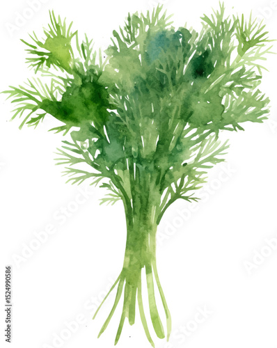 Watercolor painted dill. Hand drawn fresh food design element isolated on white background.