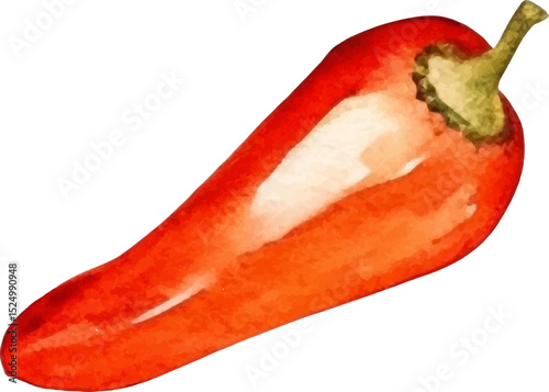 Watercolor painted chili pepper. Hand drawn fresh food design element isolated on white background.