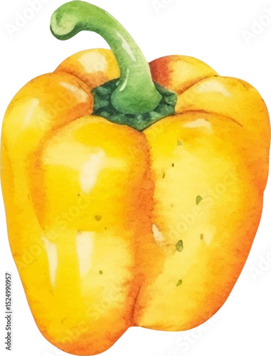 Watercolor painted pepper. Hand drawn fresh food design element isolated on white background.