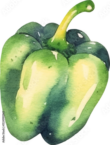 Watercolor painted pepper. Hand drawn fresh food design element isolated on white background.
