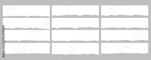 torn or ripped paper sheet. Scrapbook edge, notebook tear or blank page split vector illustration 