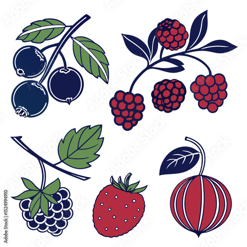 Collection of summer berries illustration