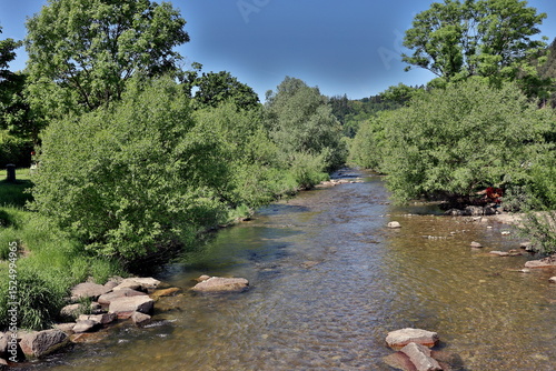Frühlingslandschaft an der Dreisam in Freiburg