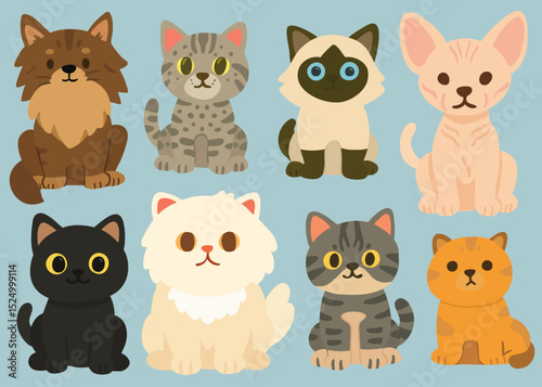 A flat-style collection of cute cats in various breeds including Siamese, Persian, Sphynx, Maine Coon, tabby, and black cat.