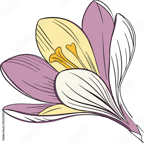 Isolated Crocuses vector icon on white background
