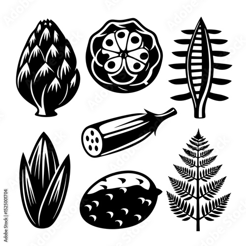 Black and white botanical illustrations of various plants